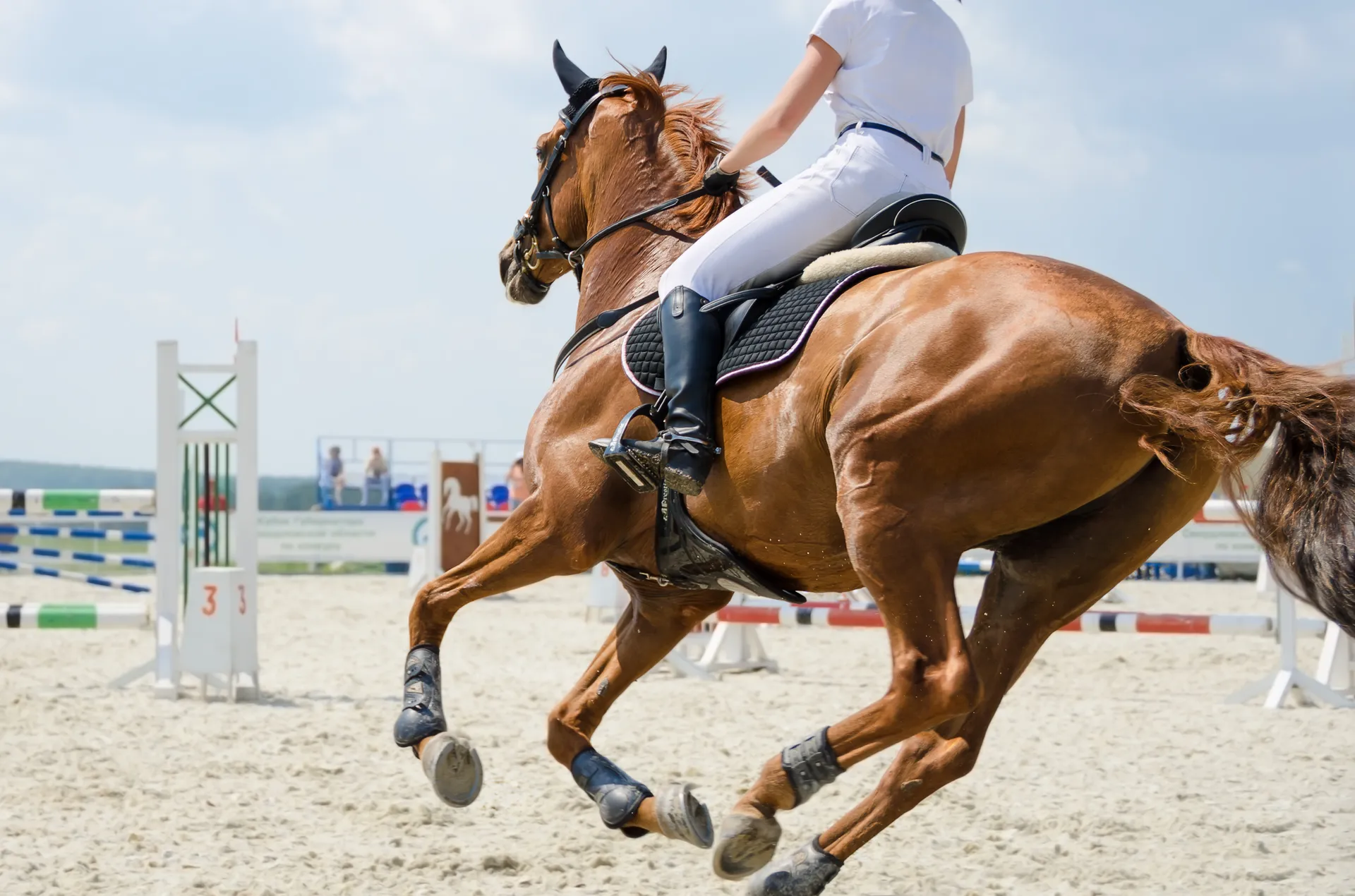 cheval